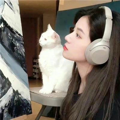 狼群出动